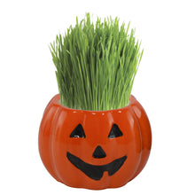 Load image into Gallery viewer, Jack O' Lantern Grass Hair Kit