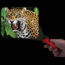 Load image into Gallery viewer, Wild Things That Bite & Sting Torch Projector