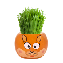 Load image into Gallery viewer, Grass Hair Kits (Assorted)