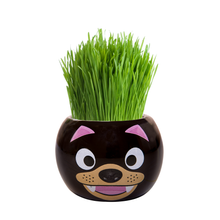 Load image into Gallery viewer, Grass Hair Kits (Assorted)