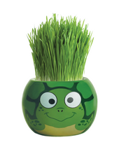 Load image into Gallery viewer, Grass Hair Kits (Assorted)