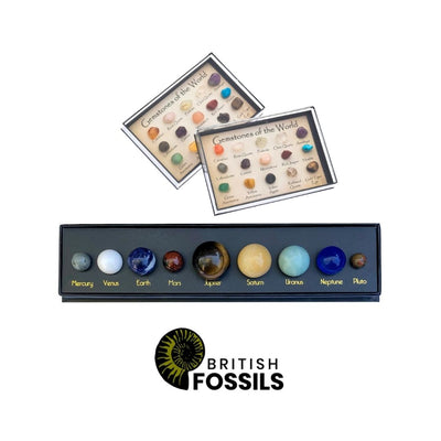 British Fossils