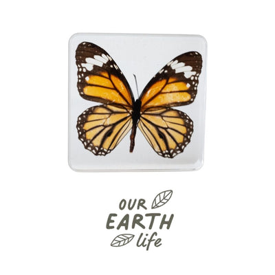 Our Earth Life