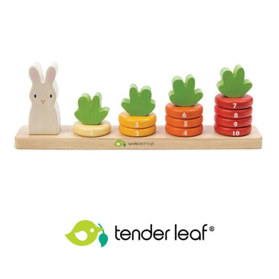Tender Leaf Toys
