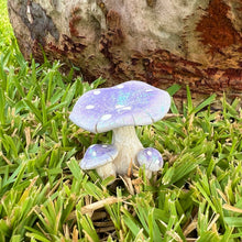 Load image into Gallery viewer, Fairy Garden 5cm Glitter Mushrooms (Assorted)

