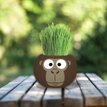 Load image into Gallery viewer, Large Grass Hair Kits (Assorted)
