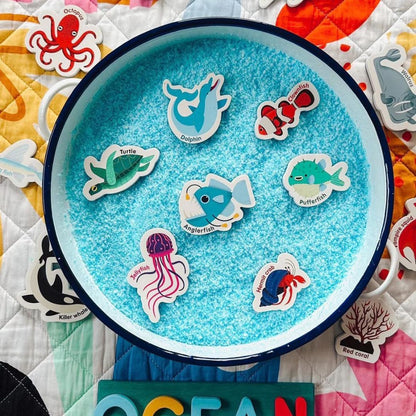 Curious Columbus Magnetic Sea Creatures & Letters