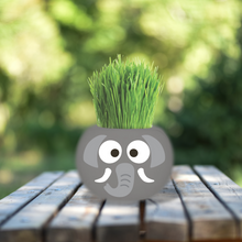 Load image into Gallery viewer, Large Grass Hair Kits (Assorted)
