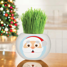 Load image into Gallery viewer, Christmas Grass Hair Kits 2024 (Assorted)
