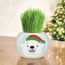 Load image into Gallery viewer, Christmas Grass Hair Kits 2024 (Assorted)
