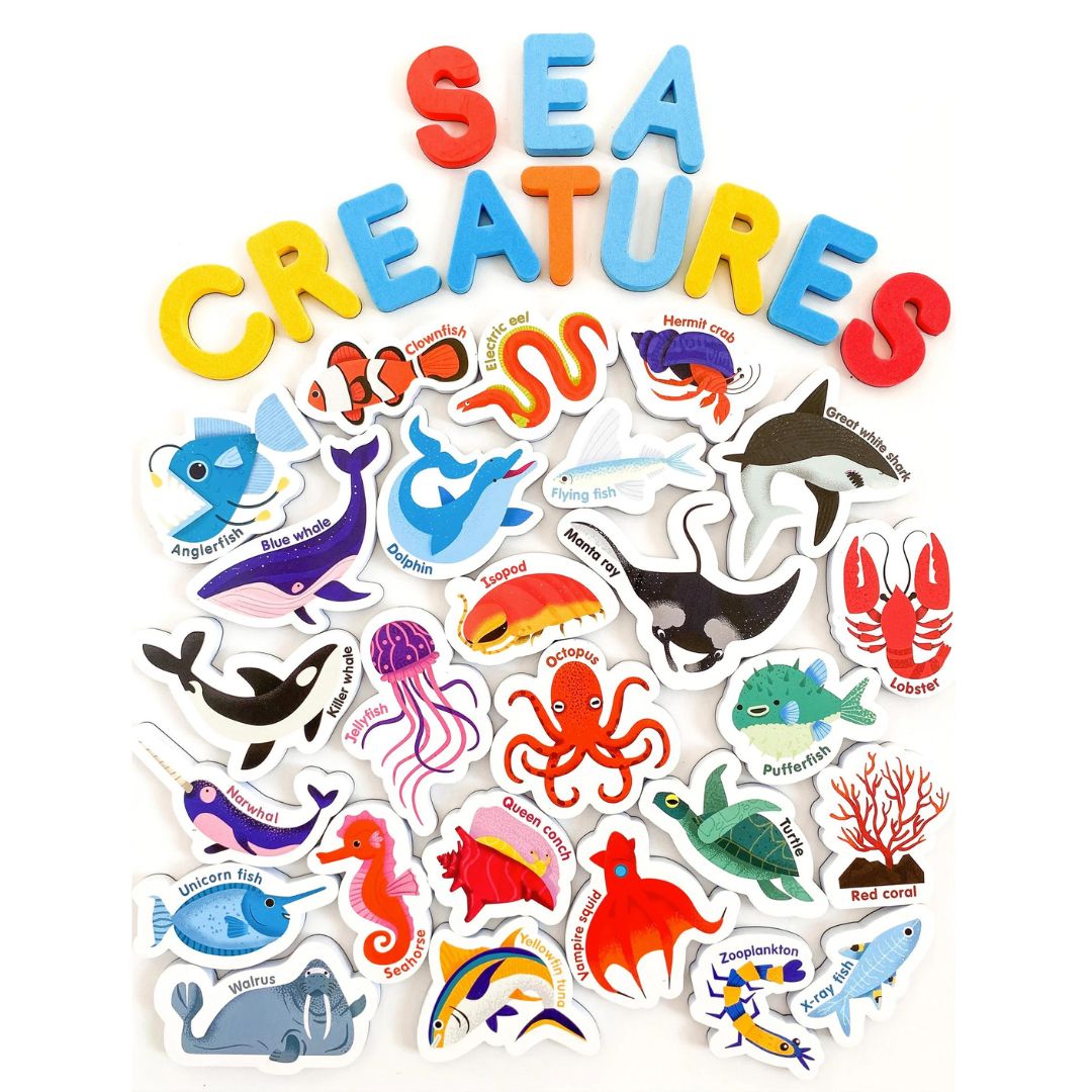 Curious Columbus Magnetic Sea Creatures & Letters