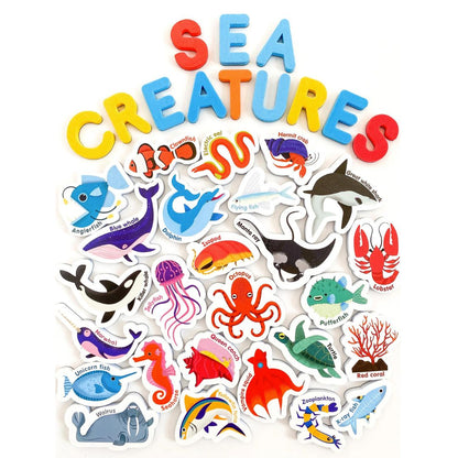 Curious Columbus Magnetic Sea Creatures & Letters