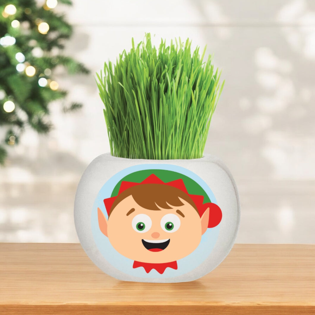 Christmas Grass Hair Kits 2024 (Assorted)