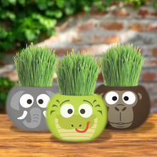 Load image into Gallery viewer, Large Grass Hair Kits (Assorted)
