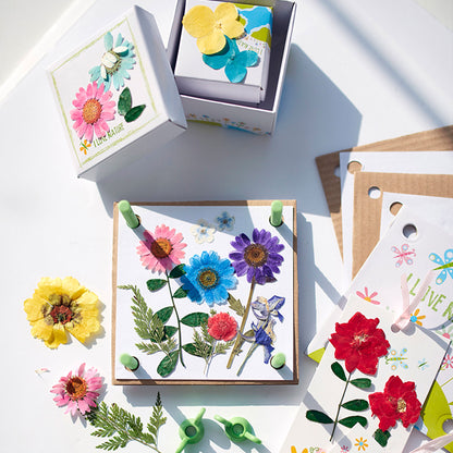 4M Green Creativity Pressed Flower Art