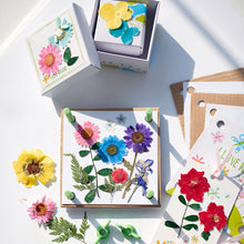 Load image into Gallery viewer, 4M Green Creativity Pressed Flower Art
