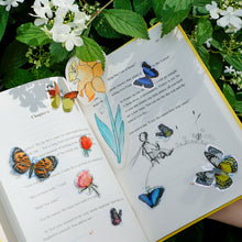 Load image into Gallery viewer, Avenir - 3D Stickers Butterfly
