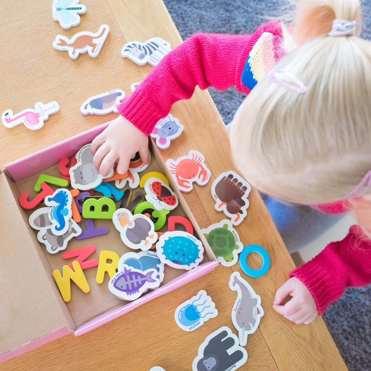 Curious Columbus Magnetic Animals & Letters