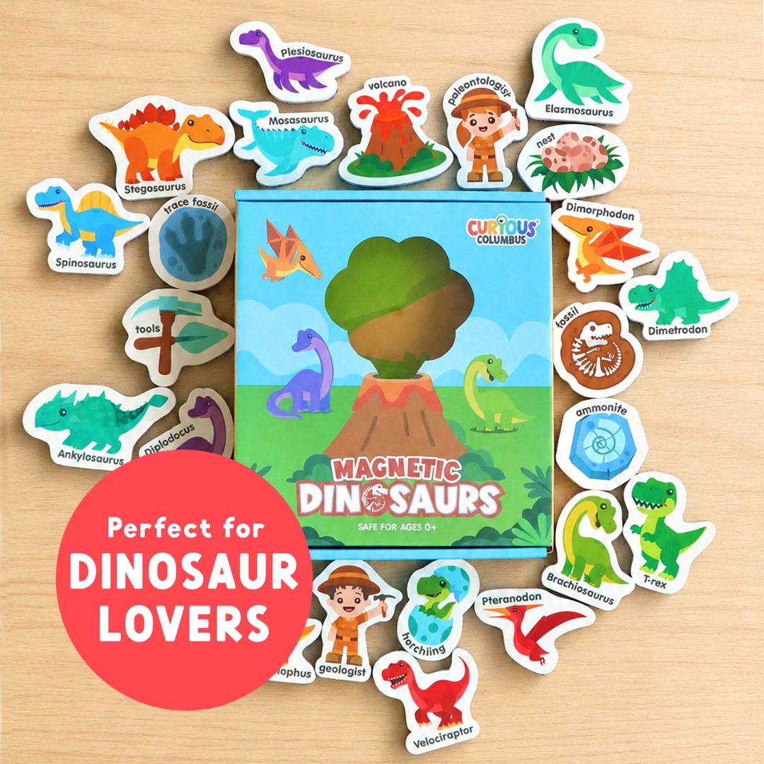 Curious Columbus Magnetic Dinosaurs