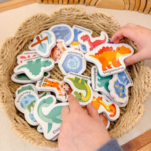 Load image into Gallery viewer, Curious Columbus Magnetic Dinosaurs
