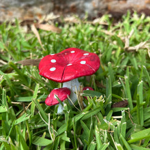 Load image into Gallery viewer, Fairy Garden 5cm Red Mushrooms (Assorted)
