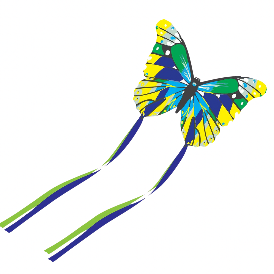 Mini Butterfly Kite (Assorted)
