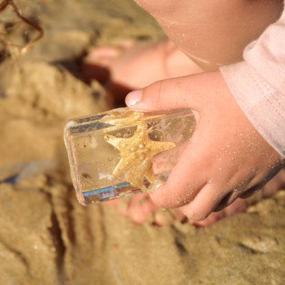 Our Earth life: Starfish Specimen