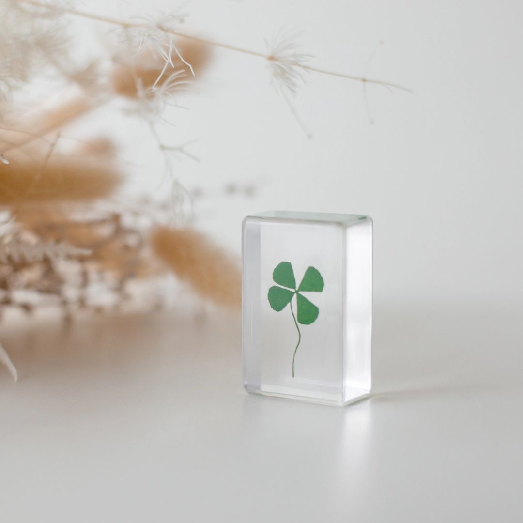 Our Earth life: Four Leaf Clover Specimen