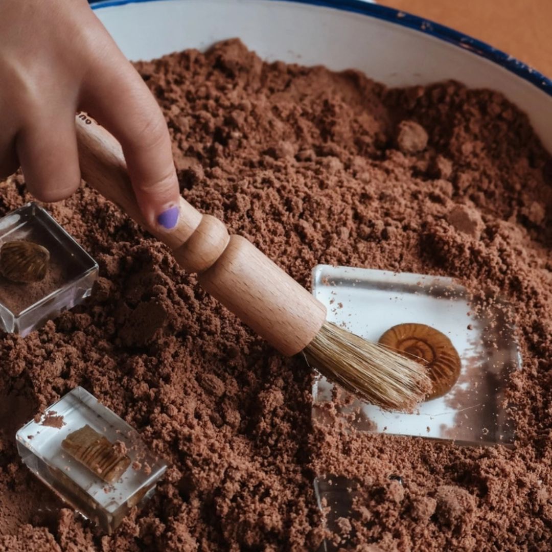 Our Earth life: Wooden Discovery Brush