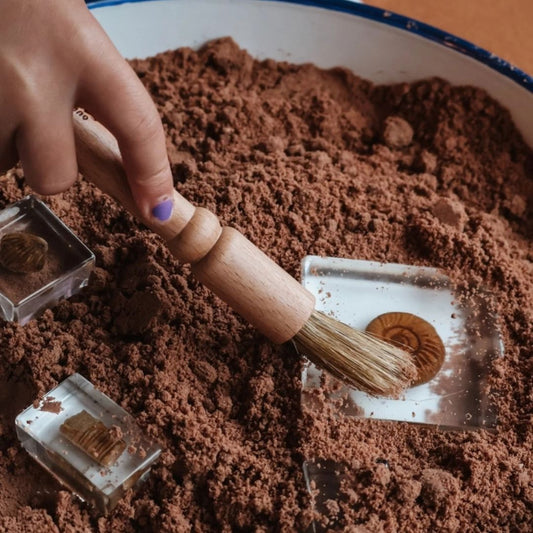 Our Earth life: Wooden Discovery Brush