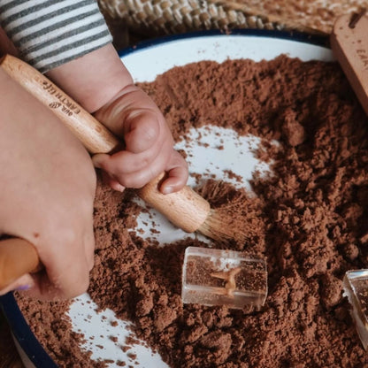 Our Earth life: Wooden Discovery Brush