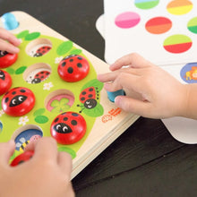 Load image into Gallery viewer, Ladybug&#39;s Garden Memory Game
