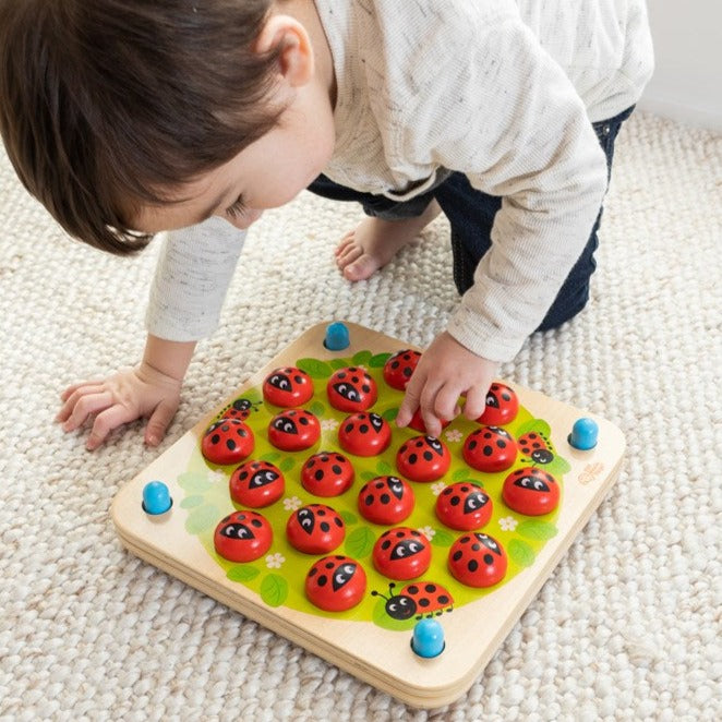 Ladybug's Garden Memory Game