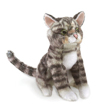 Load image into Gallery viewer, Folkmanis Mini Tabby Cat Finger Puppet
