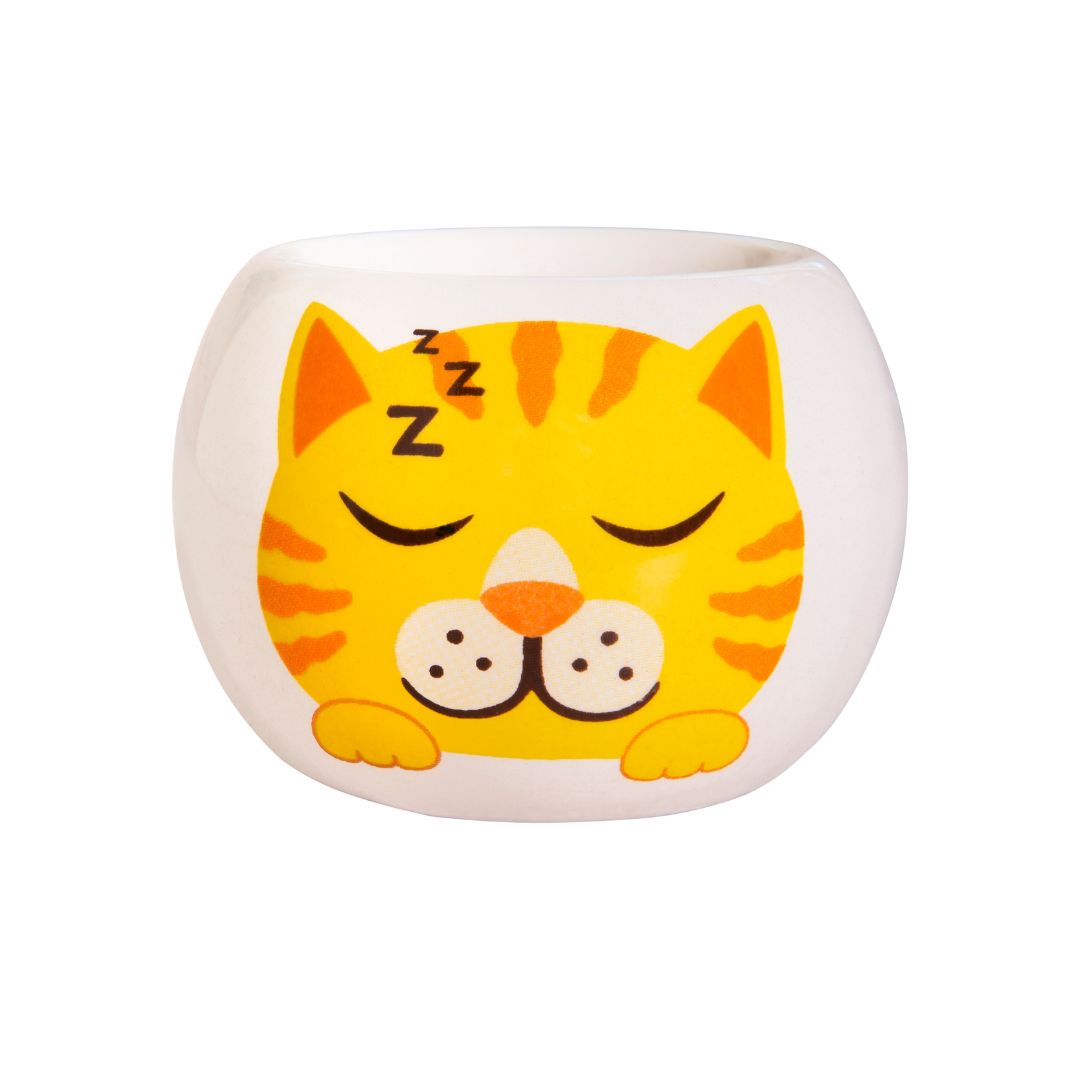Grass Hair Kits - Adopt A Kitten (Assorted)