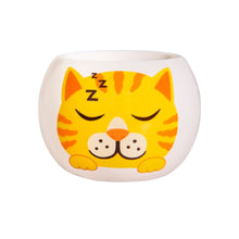 Load image into Gallery viewer, Grass Hair Kits - Adopt A Kitten (Assorted)
