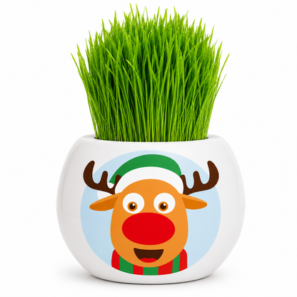 Christmas Grass Hair Kits 2024 (Assorted)