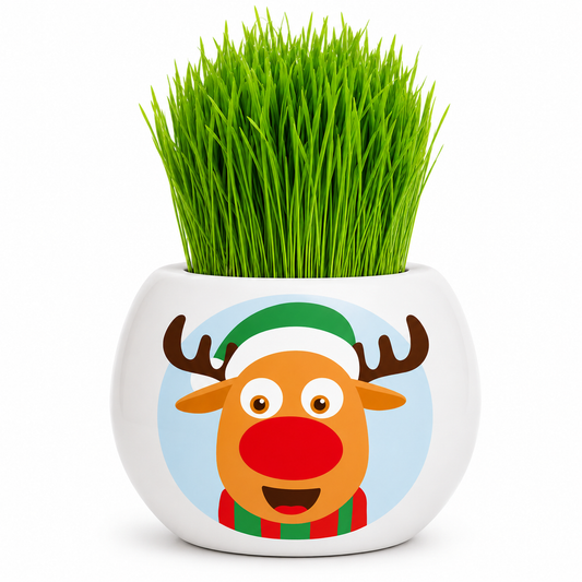 Christmas Grass Hair Kits 2024 (Assorted)