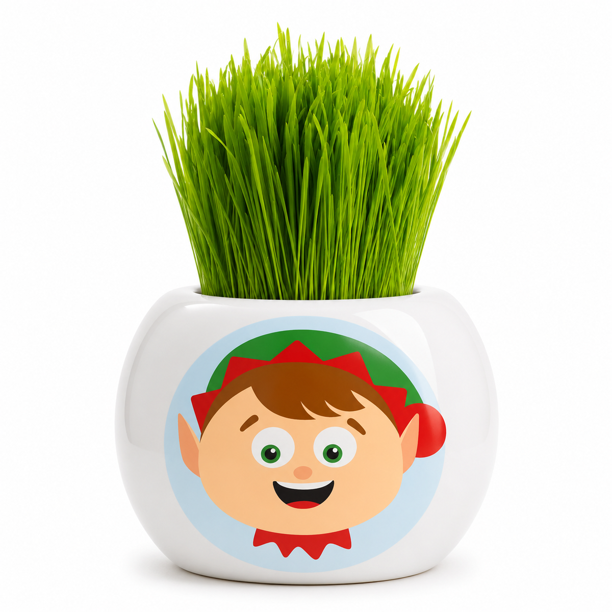 Christmas Grass Hair Kits 2024 (Assorted)