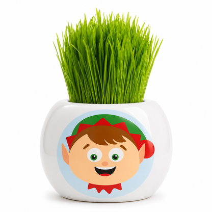 Christmas Grass Hair Kits 2024 (Assorted)