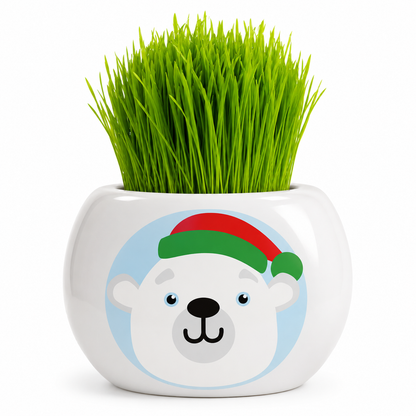 Christmas Grass Hair Kits 2024 (Assorted)