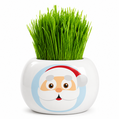Christmas Grass Hair Kits 2024 (Assorted)