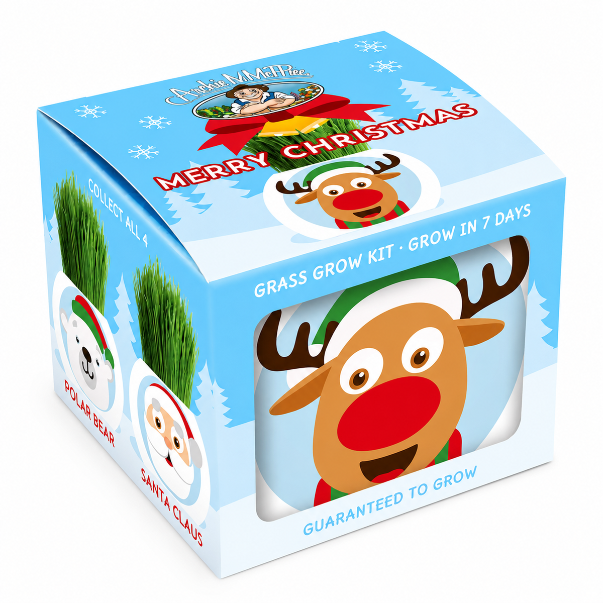 Christmas Grass Hair Kits 2024 (Assorted)