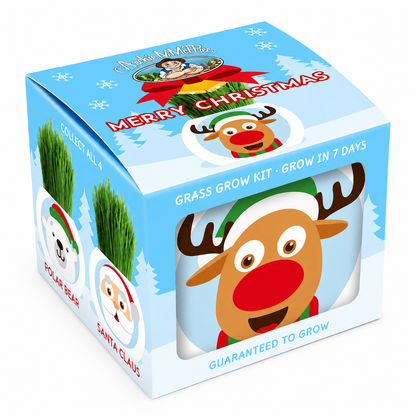 Christmas Grass Hair Kits 2024 (Assorted)