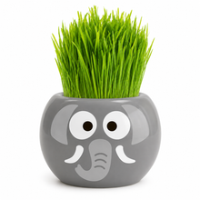 Load image into Gallery viewer, Large Grass Hair Kits (Assorted)
