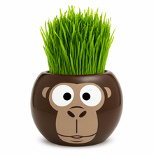 Load image into Gallery viewer, Large Grass Hair Kits (Assorted)
