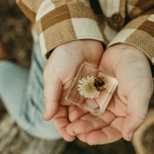 Load image into Gallery viewer, Our Earth life: Ladybird and Flower Specimen
