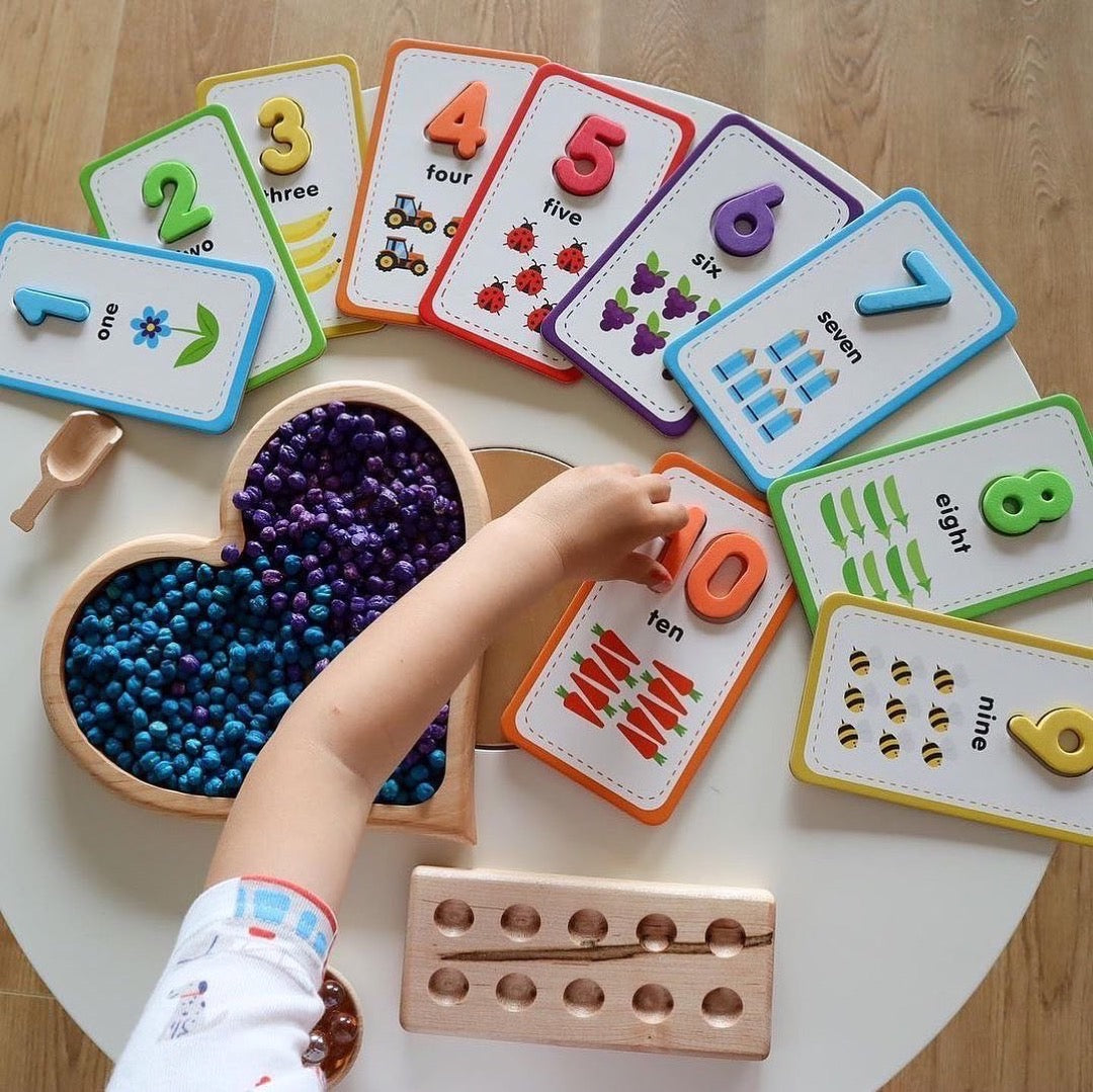 Curious Columbus Flash Cards & 123 Magnetic Numbers