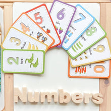 Load image into Gallery viewer, Curious Columbus Flash Cards &amp; 123 Magnetic Numbers
