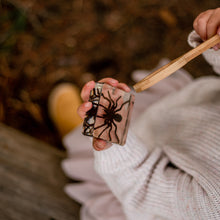 Load image into Gallery viewer, Our Earth life: Spider Specimen Set
